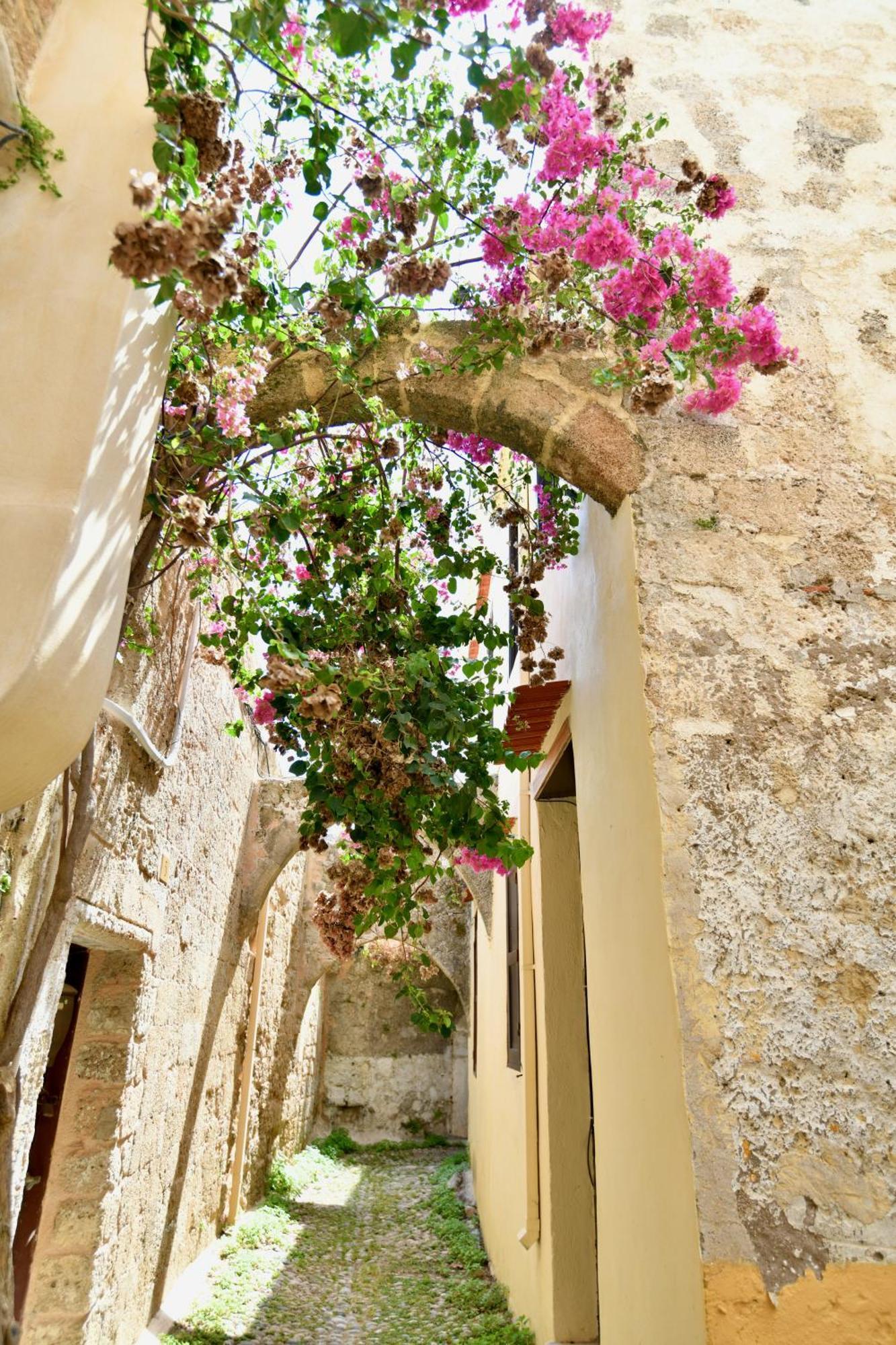 Penelope Garden House Old Town Apartment Rhodes City Exterior photo