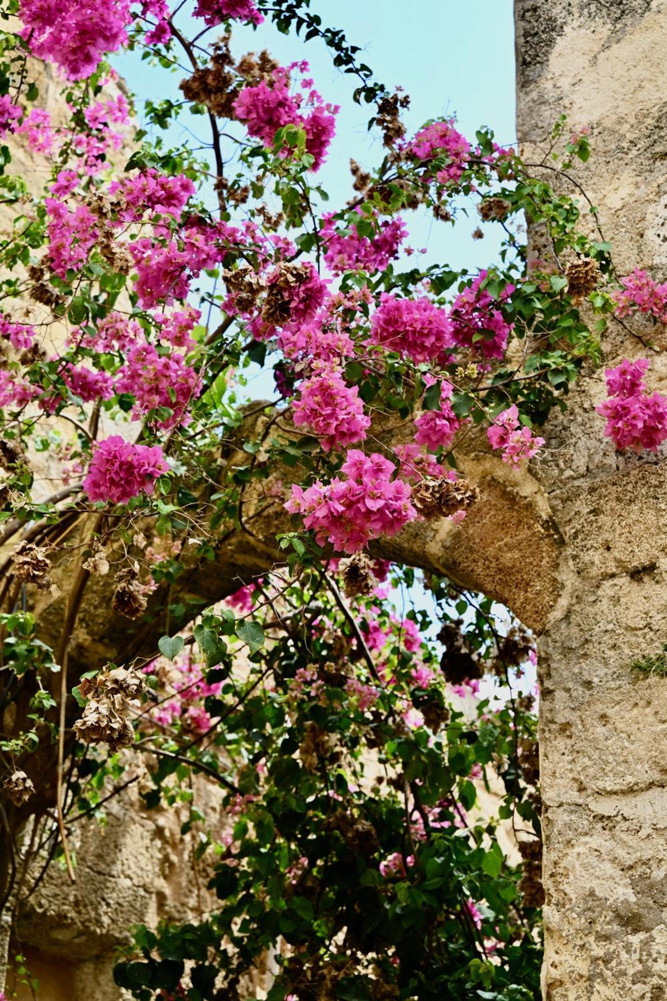 Penelope Garden House Old Town Apartment Rhodes City Exterior photo