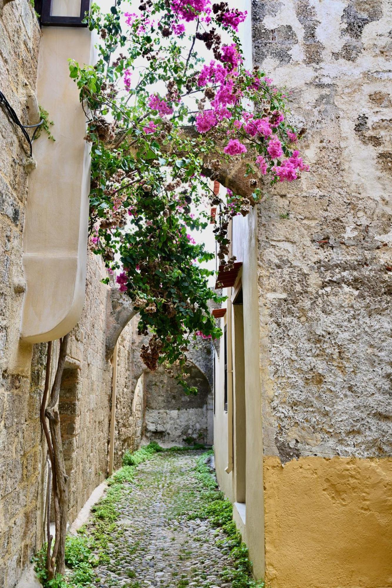 Penelope Garden House Old Town Apartment Rhodes City Exterior photo